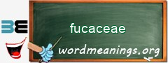 WordMeaning blackboard for fucaceae